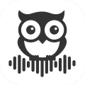 Proactor AI – Transcribe