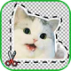 Sticker Yapma Programı