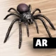 AR Spiders & Co: Scare friends