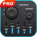 Basversterker PRO