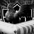 Super App do Galo