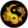 Assistente de Acupuntura icon