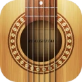 Real Guitar: acoustic electric