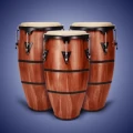 Real Percussion: strumenti