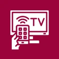 Lg Smart TV Service Remote