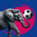 Elephant Scores