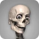 Skelly: Poseable Anatomy Model