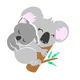 Babykoala