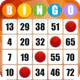 Bingo Absoluto