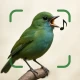 Vogelgeluiden Herkennen App