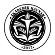 Akademik Kaynak - Makaleler icon