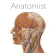 Anatomist - Jogo de Anatomia icon