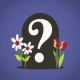 Find a Grave