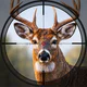 Apex Hunter: Animal Shooting