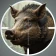 Animal Hunter: Wild Shooting icon