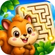 Acorn Arrwo Maze