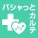 健康の記録-パシャっとカルテ-かんたんに病院の書類を整理 icon