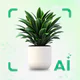 Identificador de plantas