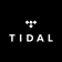 TIDAL Music: Hifigeluid icon