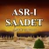 Kuran Meal Tefsir ASR-I SAADET icon