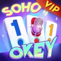 Soho 101 Okey-Eşli Batak