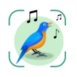 Vogelgeluiden Herkennen NL icon
