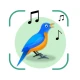 Vogelgeluiden Herkennen NL