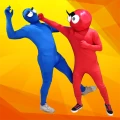 Kungfu Ragdoll