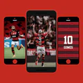 Papel de Parede do Flamengo
