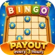 Bingo Quest: Earn Real Money