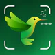 ID Bird: Bird Call Identifier