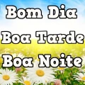 Lindo Bom Dia, Tarde e Noite