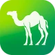 Camel Live