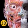 解剖学 - 3Dアトラス icon