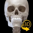 İskelet 3D Anatomisi icon