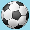 Calcio in diretta Serie A