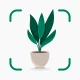 Plantify: Riconoscere Piante