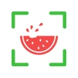 NutriPic: Contador de calorias icon