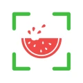 NutriPic: Contador de calorias