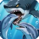 Dolphin Love Story