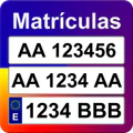 Fecha de Matriculación España