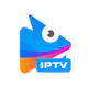 DIIXTREAM IPTV Player