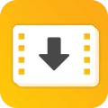 Download Video & Player