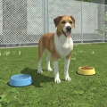 Pet Kingdom - Animal Simulator