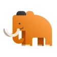 DuoCards - idioma flashcards icon