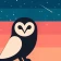 Kampusify icon