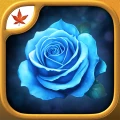 Maze of Thorns