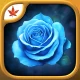 Maze of Thorns