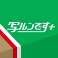 写ルンです+