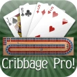 Cribbage Pro Online! icon